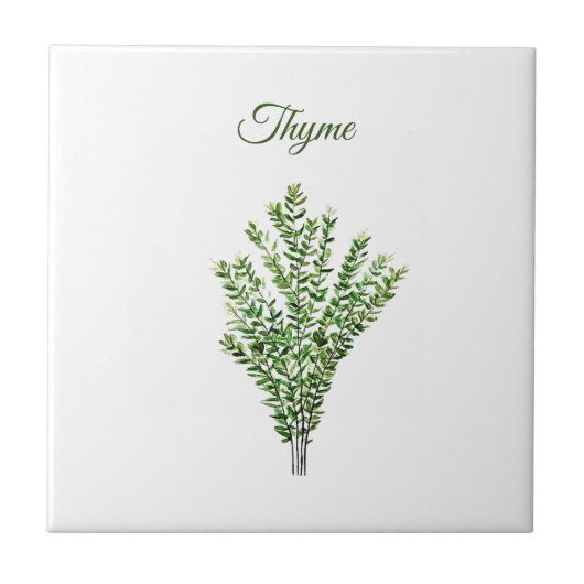 Thyme Herb Greenery Kitchen Culinaire Groen Plant Tegeltje (Voorkant)
