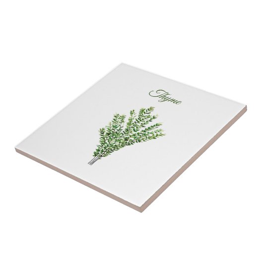 Thyme Herb Greenery Kitchen Culinaire Groen Plant Tegeltje (Zijkant)