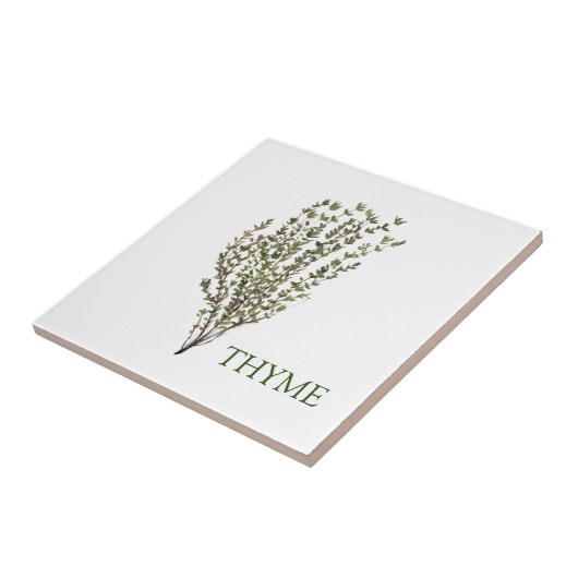 Thyme Herb Greenery Kitchen Culinaire Groen Plant Tegeltje (Zijkant)