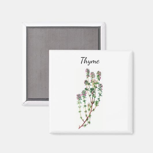 Thyme Herb Magnet (Voorkant / Achterkant)