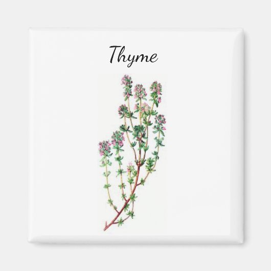 Thyme Herb Magnet (Voorkant)