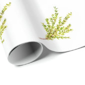 Thyme kruiden Botanische kruidachtige Waterverf Ru Cadeaupapier (Rol Hoek)