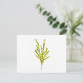 Thyme kruiden Botanische kruiden Briefkaart (Staand voorkant)