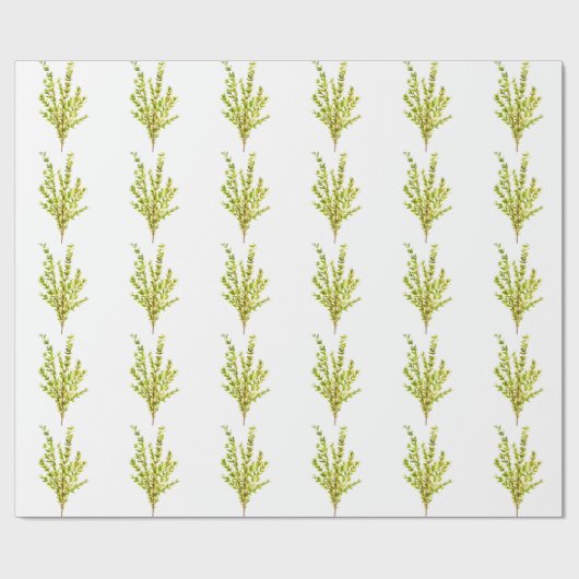 Thyme kruiden Botanische kruiden Cadeaupapier (Vlak)