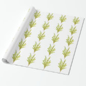 Thyme kruiden Botanische kruiden Cadeaupapier (Uitgerold)