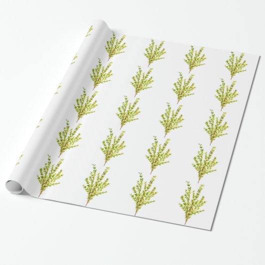 Thyme kruiden Botanische kruiden Cadeaupapier (Uitgerold)