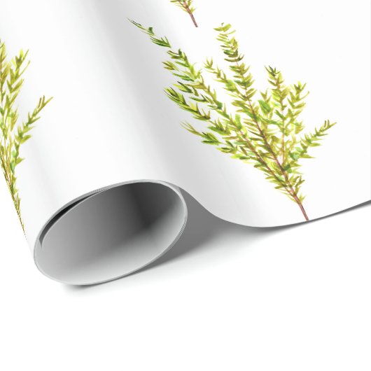 Thyme kruiden Botanische kruiden Cadeaupapier (Rol Hoek)