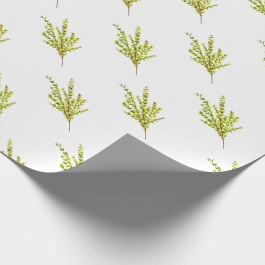 Thyme kruiden Botanische kruiden Cadeaupapier (Hoek)