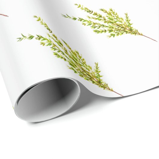 Thyme kruiden Botanische kruiden Cadeaupapier (Rol Hoek)