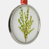 Thyme kruiden Botanische kruiden Metalen Ornament (Rechts)