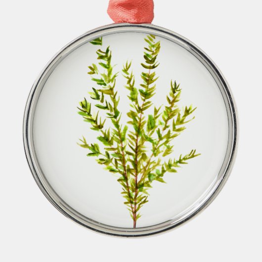 Thyme kruiden Botanische kruiden Metalen Ornament (Voorkant)