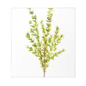 Thyme kruiden Botanische kruiden Notitieblok (Voorkant)