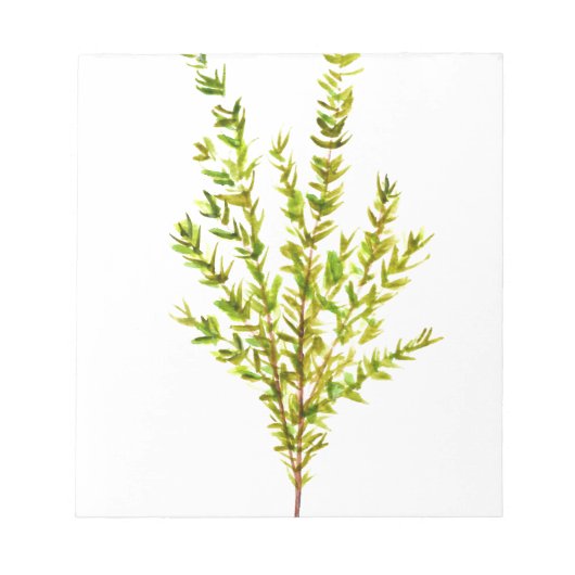 Thyme kruiden Botanische kruiden Notitieblok (Voorkant)