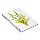 Thyme kruiden Botanische kruiden Notitieboek (Rechterzijde)
