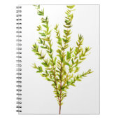 Thyme kruiden Botanische kruiden Notitieboek (Voorkant)