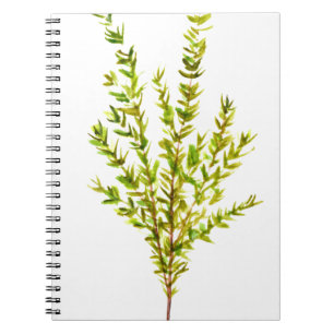 Thyme kruiden Botanische kruiden Notitieboek