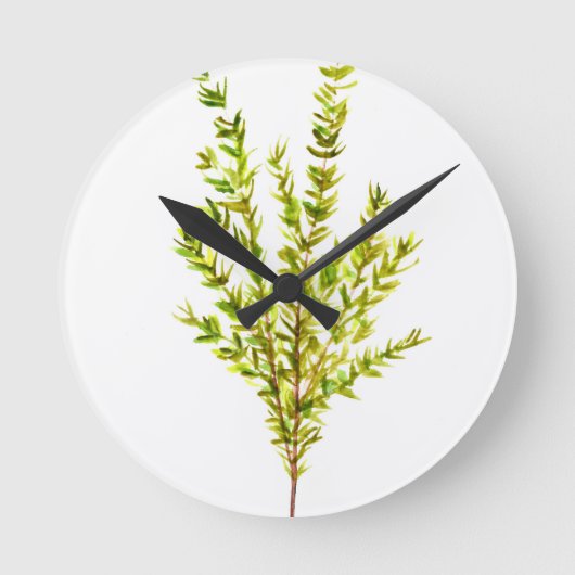 Thyme kruiden Botanische kruiden Ronde Klok (Voorkant)