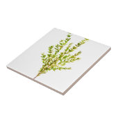 Thyme kruiden Botanische kruiden Tegeltje (Zijkant)