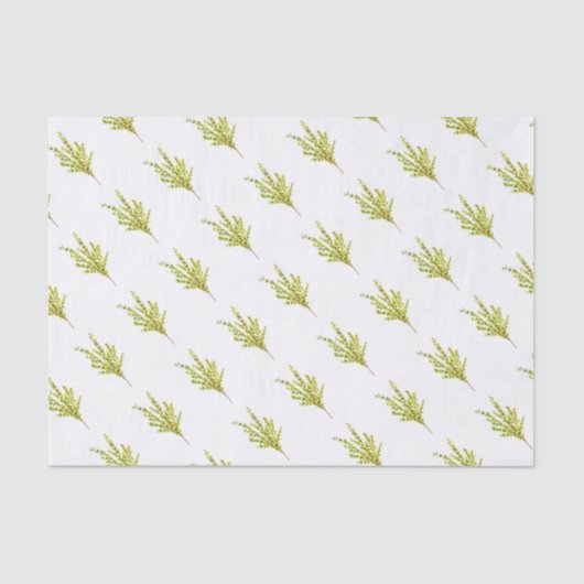 Thyme kruiden Botanische Planten Waterverf Groen Tissuepapier (Voorkant)