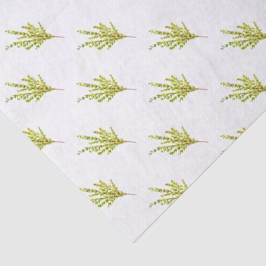 Thyme kruiden Botanische Planten Waterverf Groen Tissuepapier (Detail)