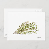 Thyme kruiden waterverf keukenkunst briefkaart (Voorkant / Achterkant)