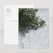 Thyme op oude houten tafel briefkaart (Voorkant / Achterkant)