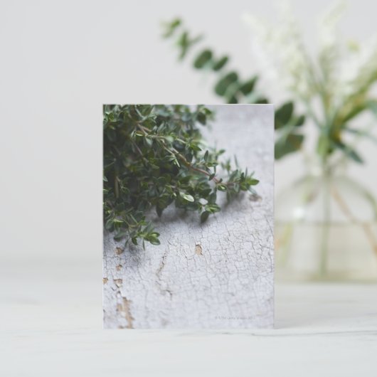Thyme op oude houten tafel briefkaart (Staand voorkant)