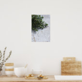 Thyme op oude houten tafel poster (Keuken)