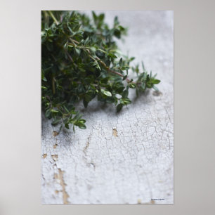 Thyme op oude houten tafel poster