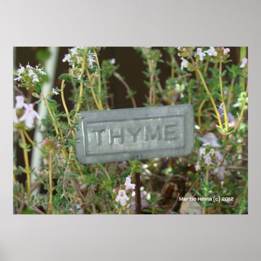 Thyme Poster (Voorkant)