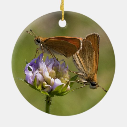 Thymelicus lineola keramisch ornament (Achterkant)