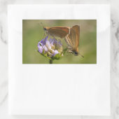 Thymelicus lineola rechthoekige sticker (Tas)