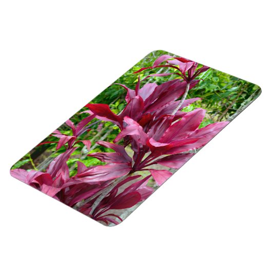 Ti Plant fotomagneet Magneet (Linkerzijde)