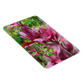 Ti Plant fotomagneet Magneet (Rechterzijde)