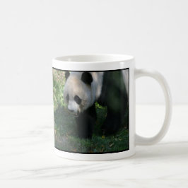 Tian Tian en Mei Xiang Giant Pandas National Zoo Koffiemok