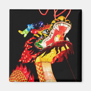 Tianlong Draak Magneet