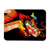 Tianlong Draak Magneet (Horizontaal)
