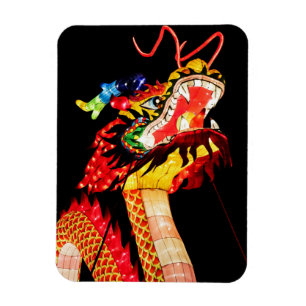 Tianlong Draak Magneet