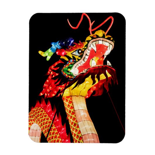 Tianlong Draak Magneet (Verticaal)