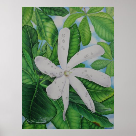 Tiare Tahiti Poster (Voorkant)