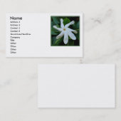 Tiare Tahitian Gardenia Visitekaartje (Voorkant / Achterkant)