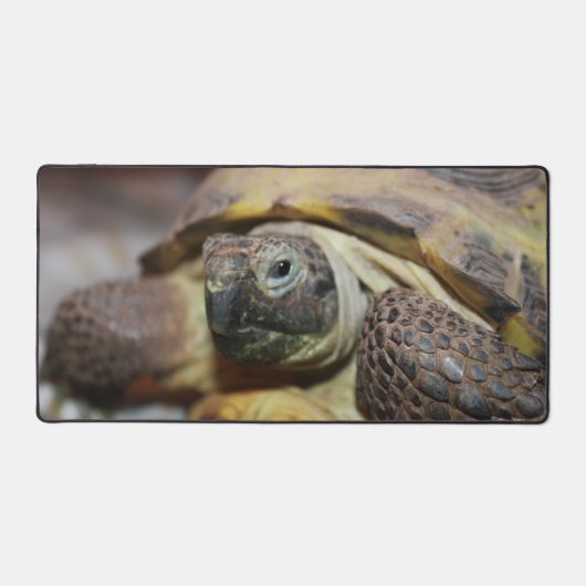 Tibbs Bureaumat (Voorkant)