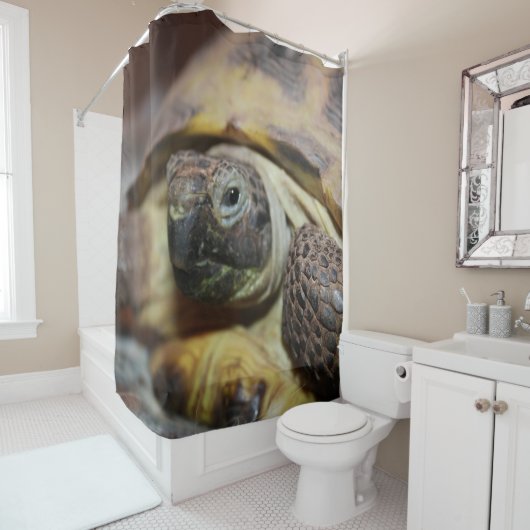 Tibbs Douchegordijn (In situ)