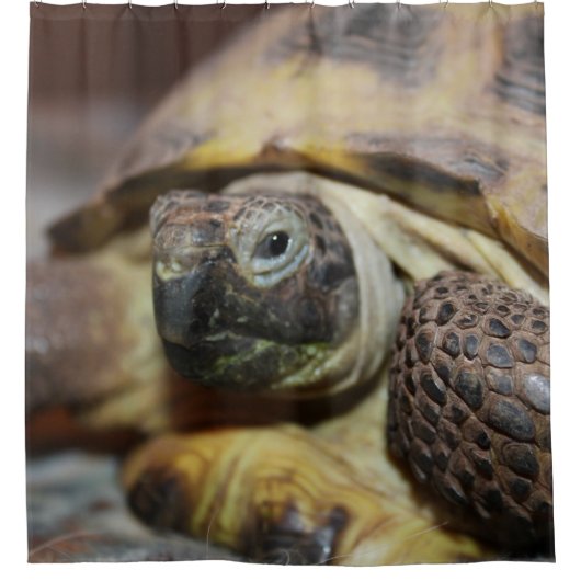 Tibbs Douchegordijn (Voorkant)