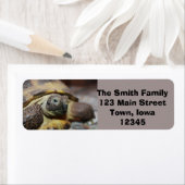 Tibbs Etiket (Insitu)