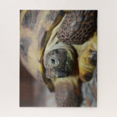 Tibbs Legpuzzel (Verticaal)