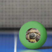 Tibbs Pingpongbal (Net)