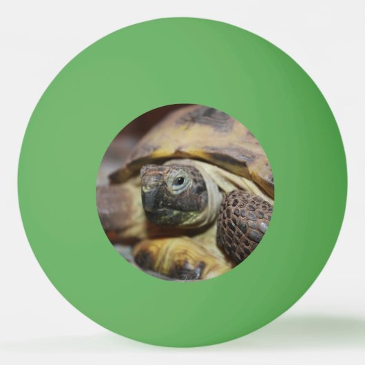 Tibbs Pingpongbal (Voorkant)