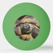 Tibbs Pingpongbal (Achterkant)