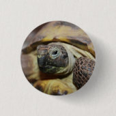 Tibbs Ronde Button 3,2 Cm (Voorkant)